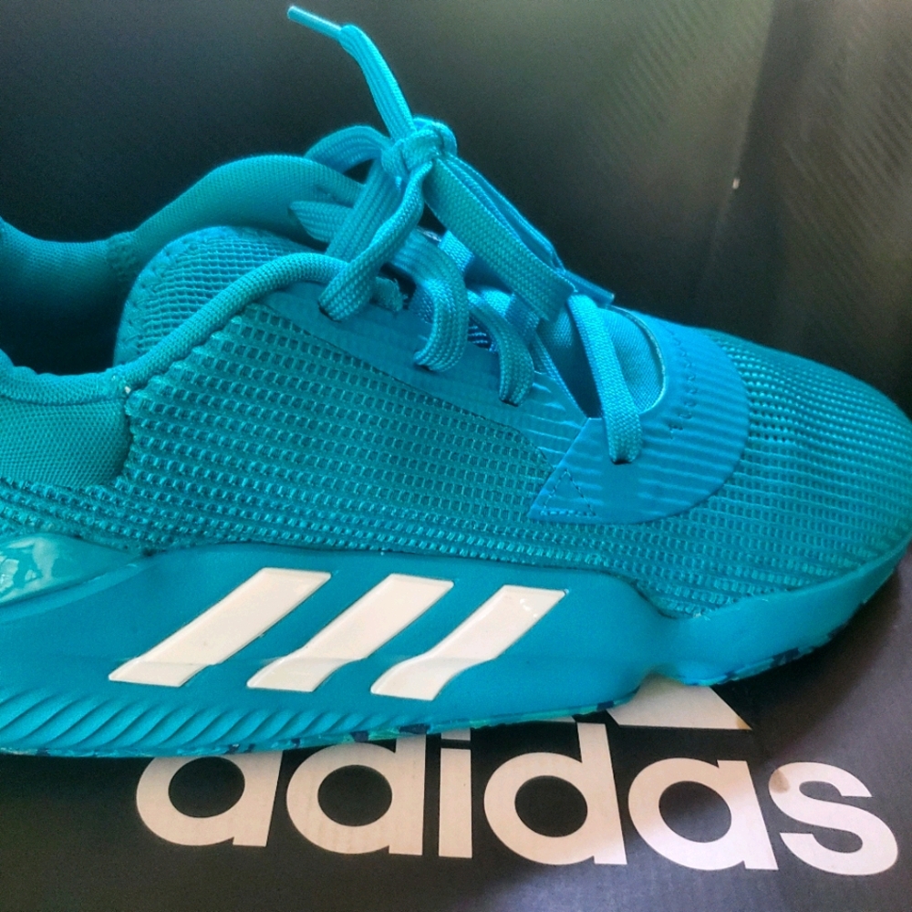 Adidas Pro Bounce Shoes
